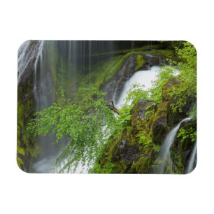 Green Waterfall Scenic Magnet