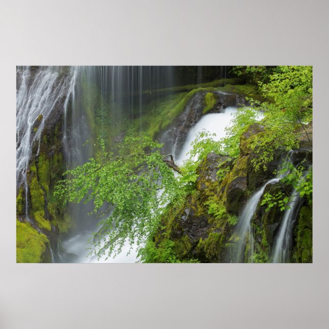 Green Waterfall Scenic Poster (Front)
