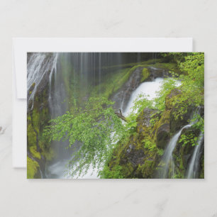 Green Waterfall Scenic Thank You Card