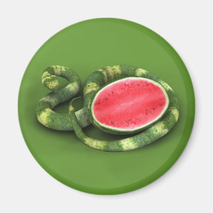 Green Watermelon Snake Magnet
