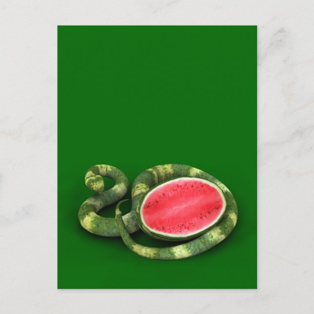 Green Watermelon Snake Postcard (Front)