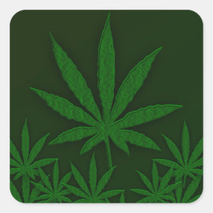 Green Weed Square Sticker
