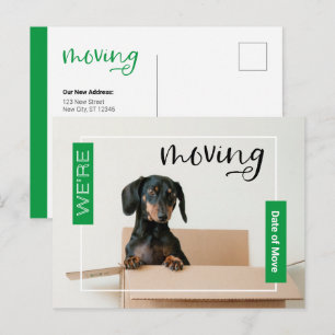 Green We're Moving Dachshund Dog in Box Postcard