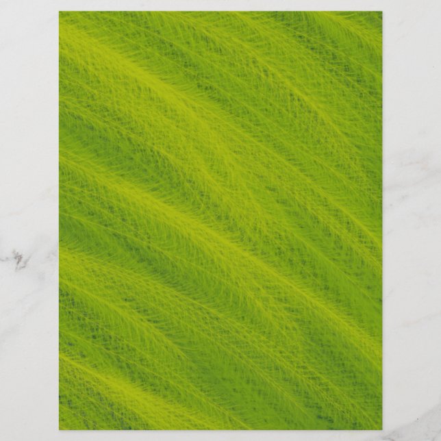 Green Wheat Field Bulk Scrapbook Paper Pages (Front)