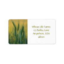 Green Wheat Return Address Labels