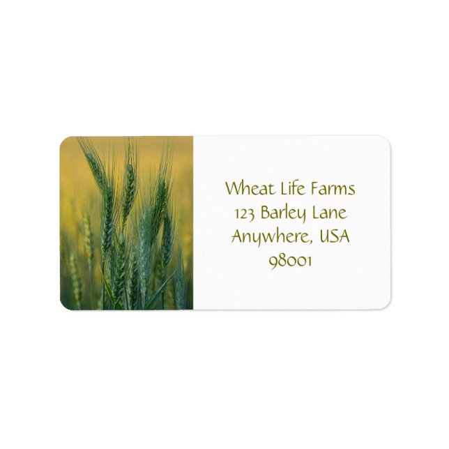 Green Wheat Return Address Labels (Front)