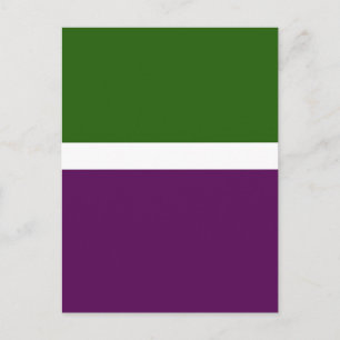 Green White Purple Plain Color Block Design Postcard