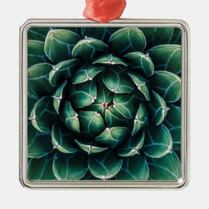Green & White Succulent Metal Tree Decoration