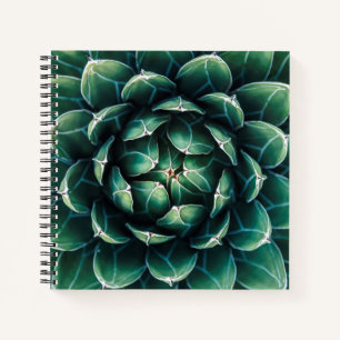 Green & White Succulent Notebook
