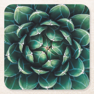 Green & White Succulent Square Paper Coaster