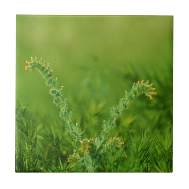 Green Wild Plant Tile (Front)