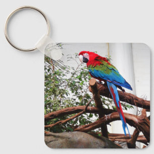 Green-winged Macaw #3 Keychain