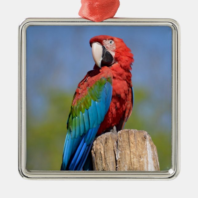 Green-winged macaw perched metal tree decoration (Front)