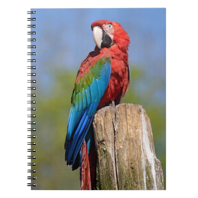Green-winged macaw perched notebook (Front)
