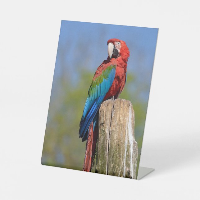Green-winged macaw perched pedestal sign (Front)