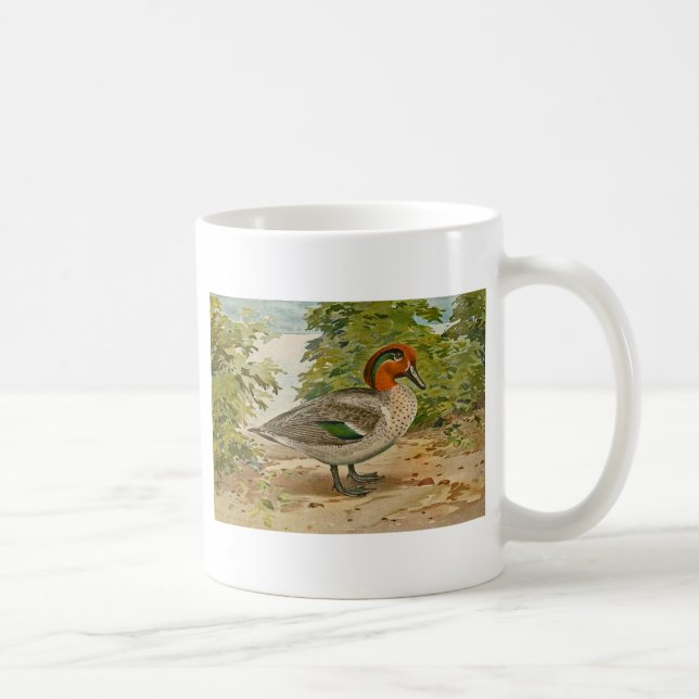 Green-winged Teal Illustration Coffee Mug (Right)