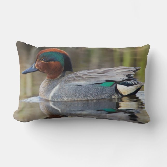Green-winged Teal Lumbar Cushion (Front)