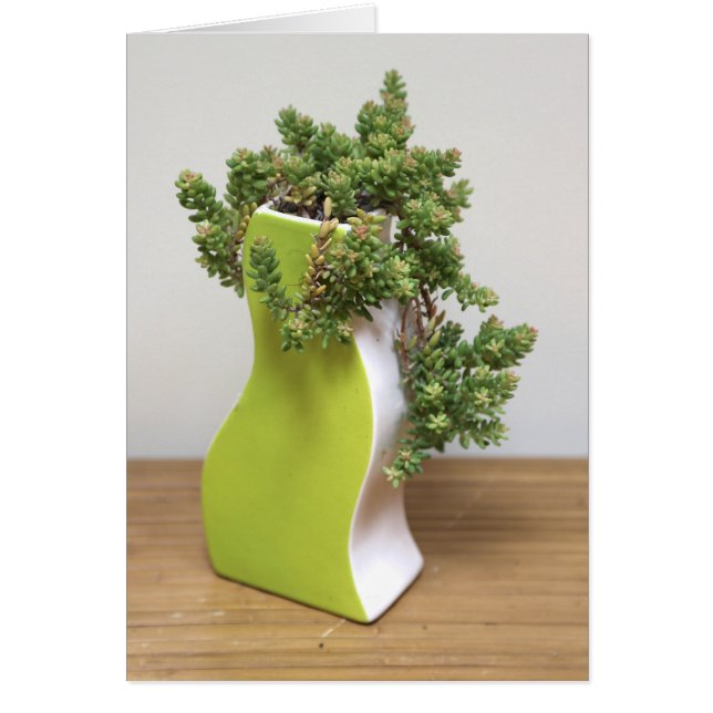 Green with Envy by Succulent Designs (Front)