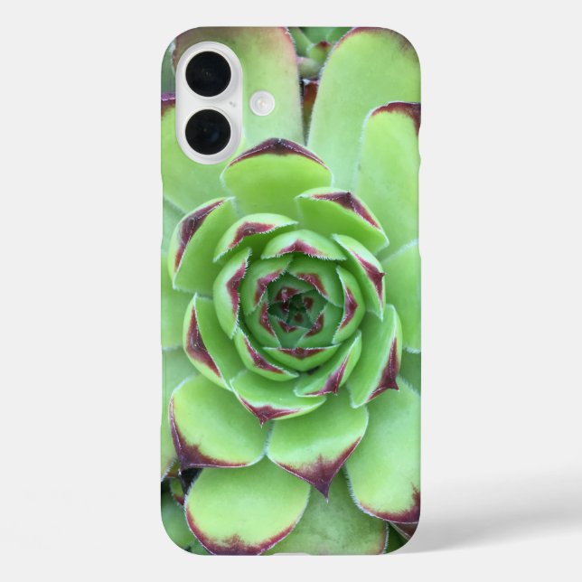 Green with Purple Tips Succulent Close-Up Photo Case-Mate iPhone Case (Back)