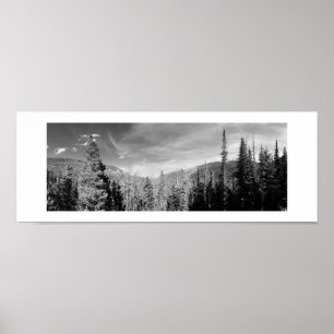 Green Woodland Black and White Poster