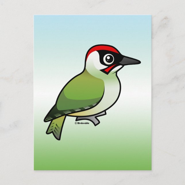Green Woodpecker Postcard (Front)