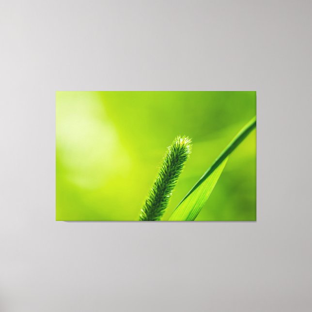 Green World Canvas Print (Front)