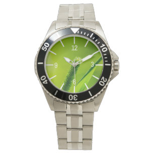 Green World Watch