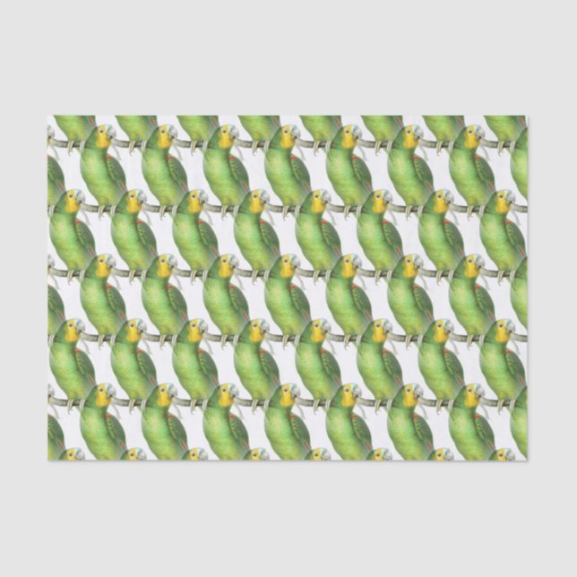 Green & Yellow Exotic Vintage Parrot Pattern  Tissue Paper (Front)