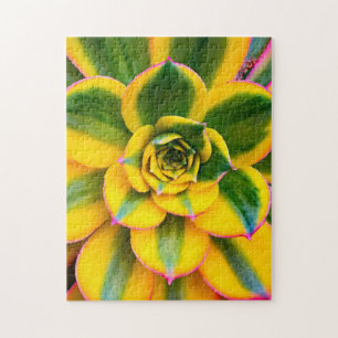 Green Yellow Pink Cactus Photo Beautiful Close Up Jigsaw Puzzle