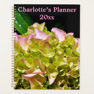 Green yellow pink Hydrangea pink yellow flower Planner