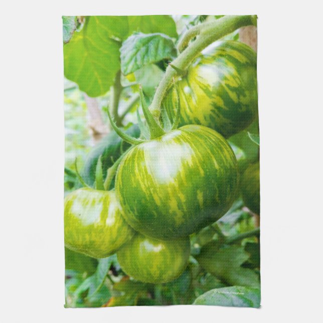 Green Zebra Heirloom Tomatoes on the Vine Tea Towel (Vertical)