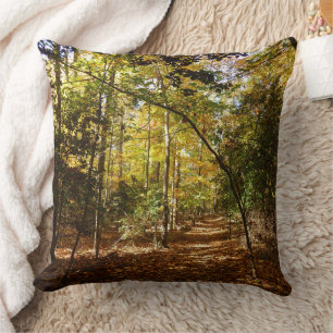 Greenbelt Park in Fall I Maryland Landscape Cushion