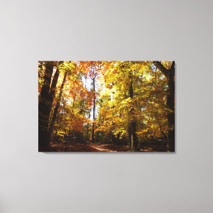 Greenbelt Park in Fall II Maryland Nature Scene Canvas Print