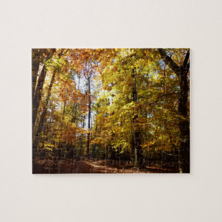 Greenbelt Park in Fall II Maryland Nature Scene Jigsaw Puzzle