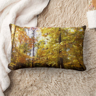 Greenbelt Park in Fall II Maryland Nature Scene Lumbar Cushion