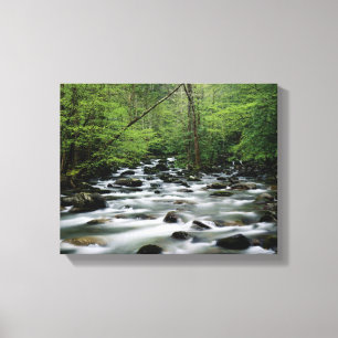 Greenbrier area area, Great Smoky Mountains Canvas Print