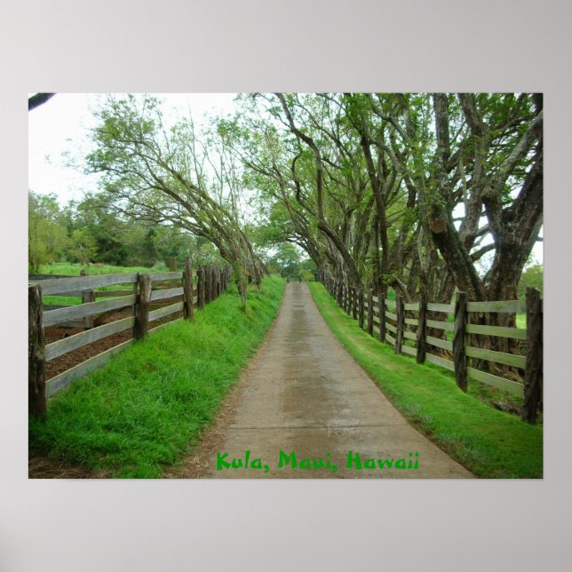 Greener Pastures Poster (Front)