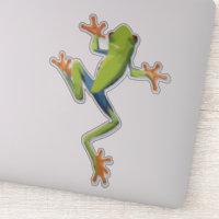 Greenery Amphibian Tree-Frog