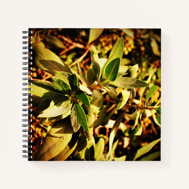 Greenery Notebook (Front)