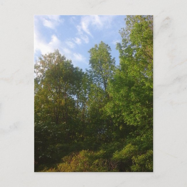 Greenery Postcard (Front)