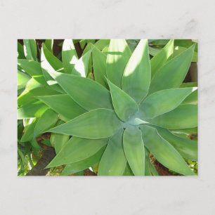 Greenery Postcard