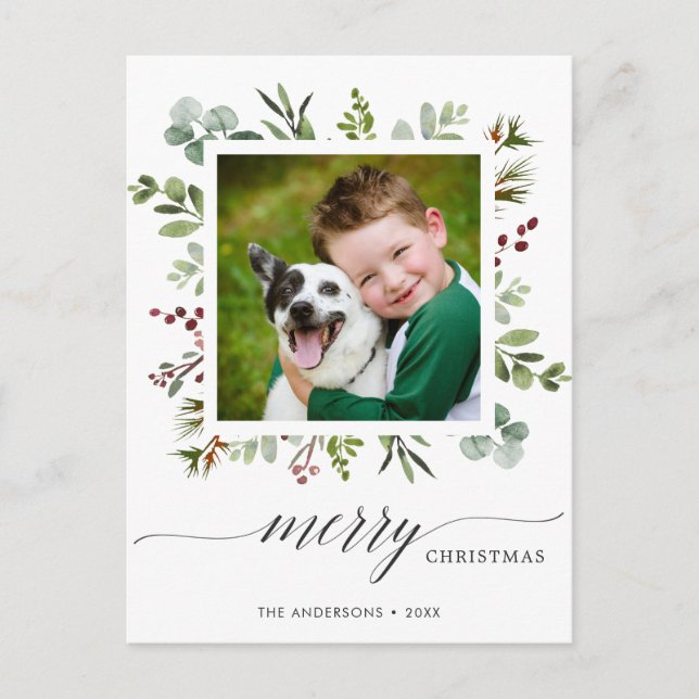 Greenery Red Berries Holiday Photo Postcard (Front)