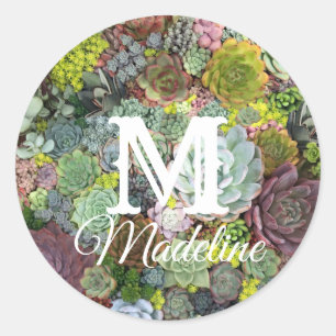 Greenery Succulents Classic Round Sticker