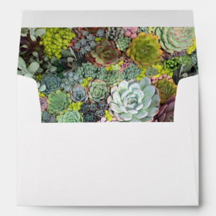 Greenery Succulents Envelope
