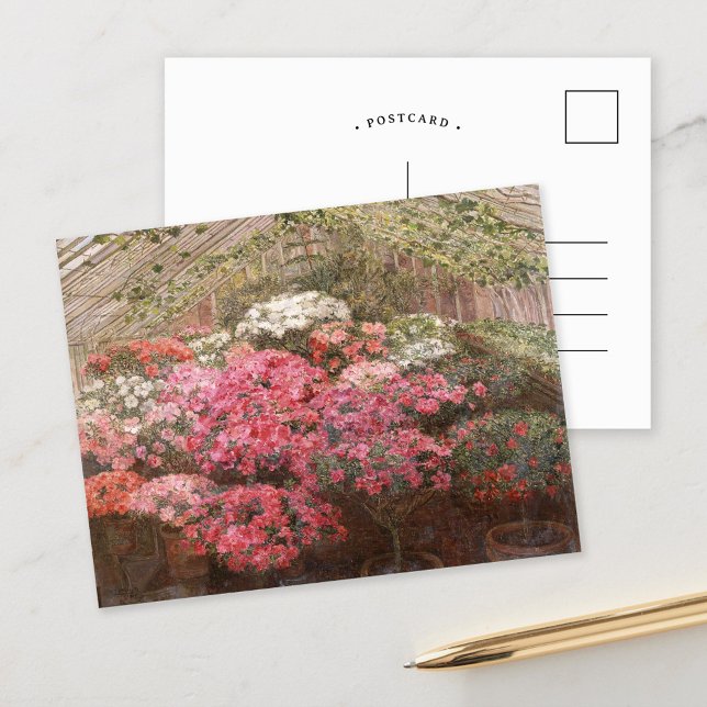 Greenhouse Azaleas | Marie Antoinette Marcotte Postcard (Creator Uploaded)