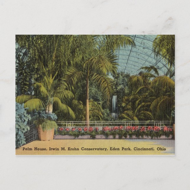 Greenhouse, Eden Park, Cincinnati, Ohio Postcard (Front)