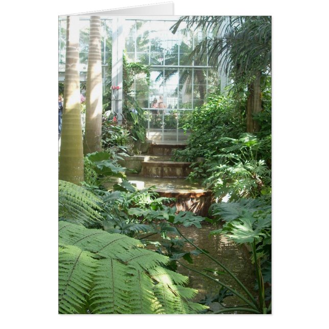 Greenhouse Flowers Seven (Front)