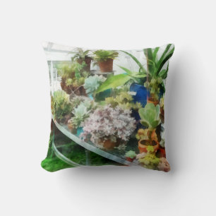 Greenhouse With Cactus Cushion