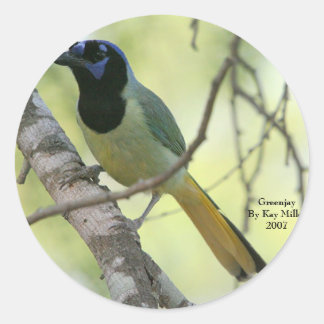 GreenjayBy Kay Miller2007 Classic Round Sticker