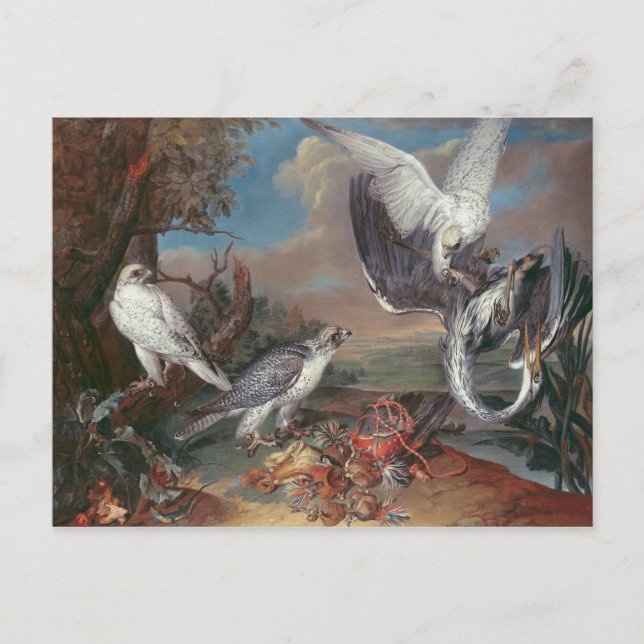 Greenland Cyr Falcons Postcard (Front)